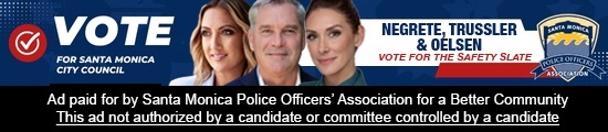 Vote for Negrete, Trussler and Oelsen for City Council