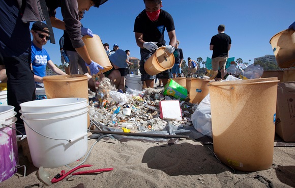 Santa Monica College Volunteers during Heal the Bay Clean Up Day