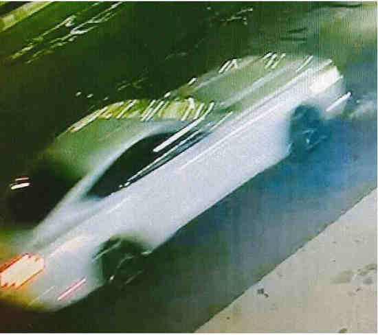 Police Seek Help Finding Driver in Fatal Hit-and-Run
